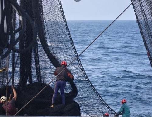 Cordis publishes the results of the SusTunTech project